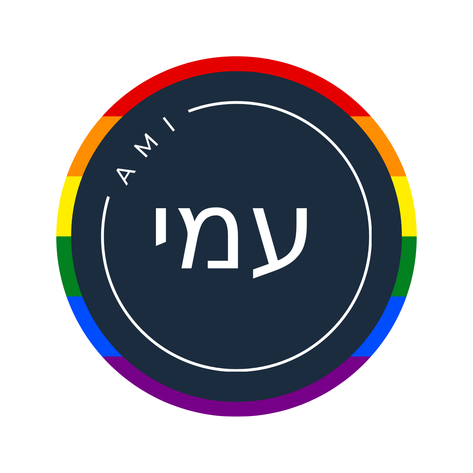 Ami Logo